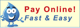 0021476-payonline 0021476-payonline