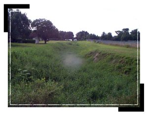 operations_canal_redbug1 operations_canal_redbug1