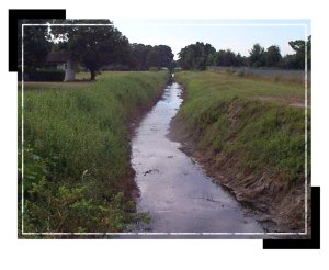 operations_canal_redbug2 operations_canal_redbug2