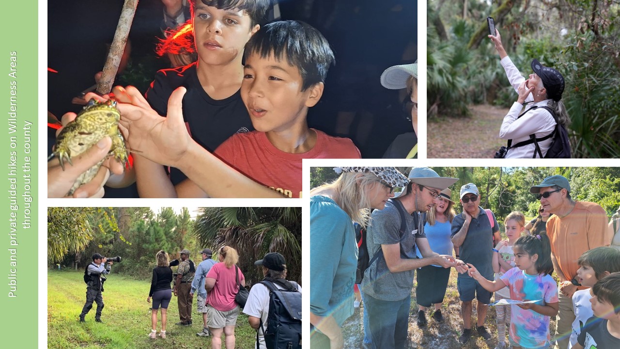 Photo-Compilation-NL-guided-hikes Guided Hikes
