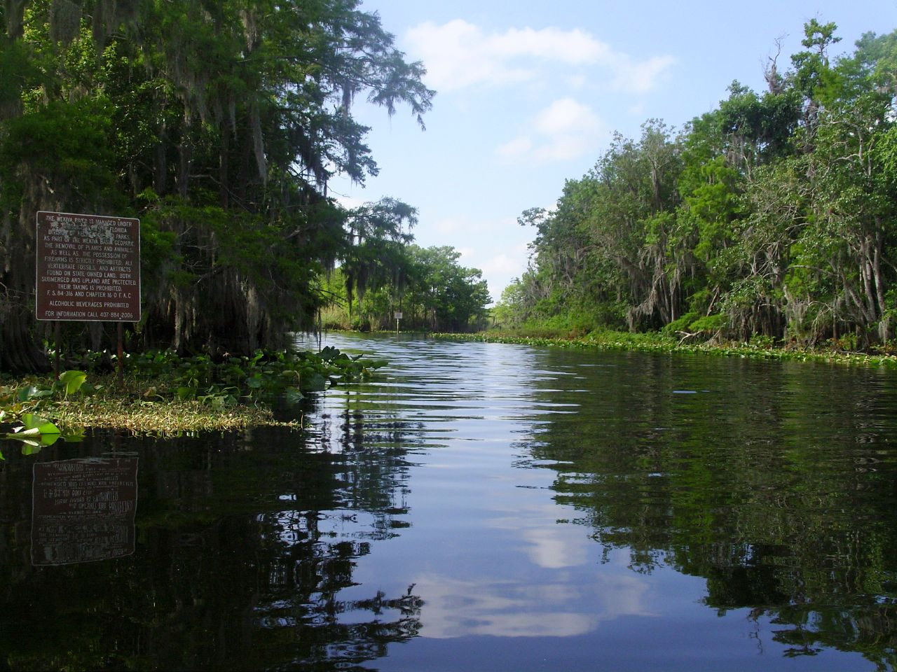 Wekiva River in Seminole County, FL Wekiva River in Seminole County, FL